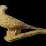 Pheasant