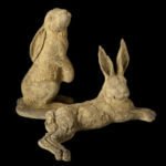 Hampshire Hares